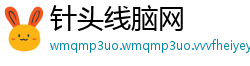 针头线脑网